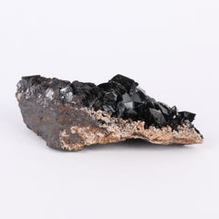 Sphenoidal Manganite