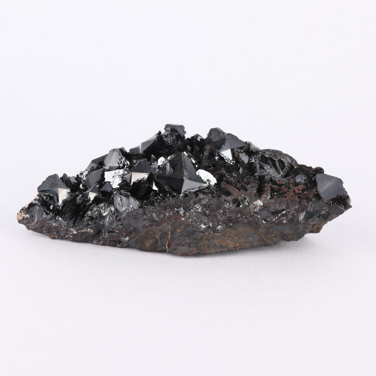 Sphenoidal Manganite