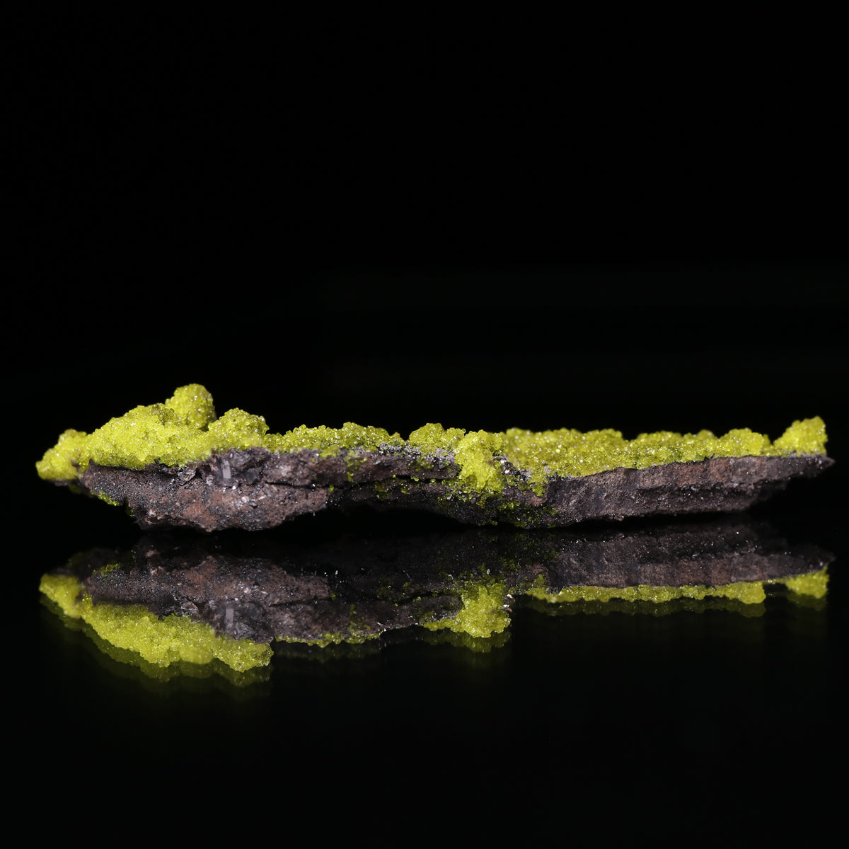Ettringite on Calcite on Matrix