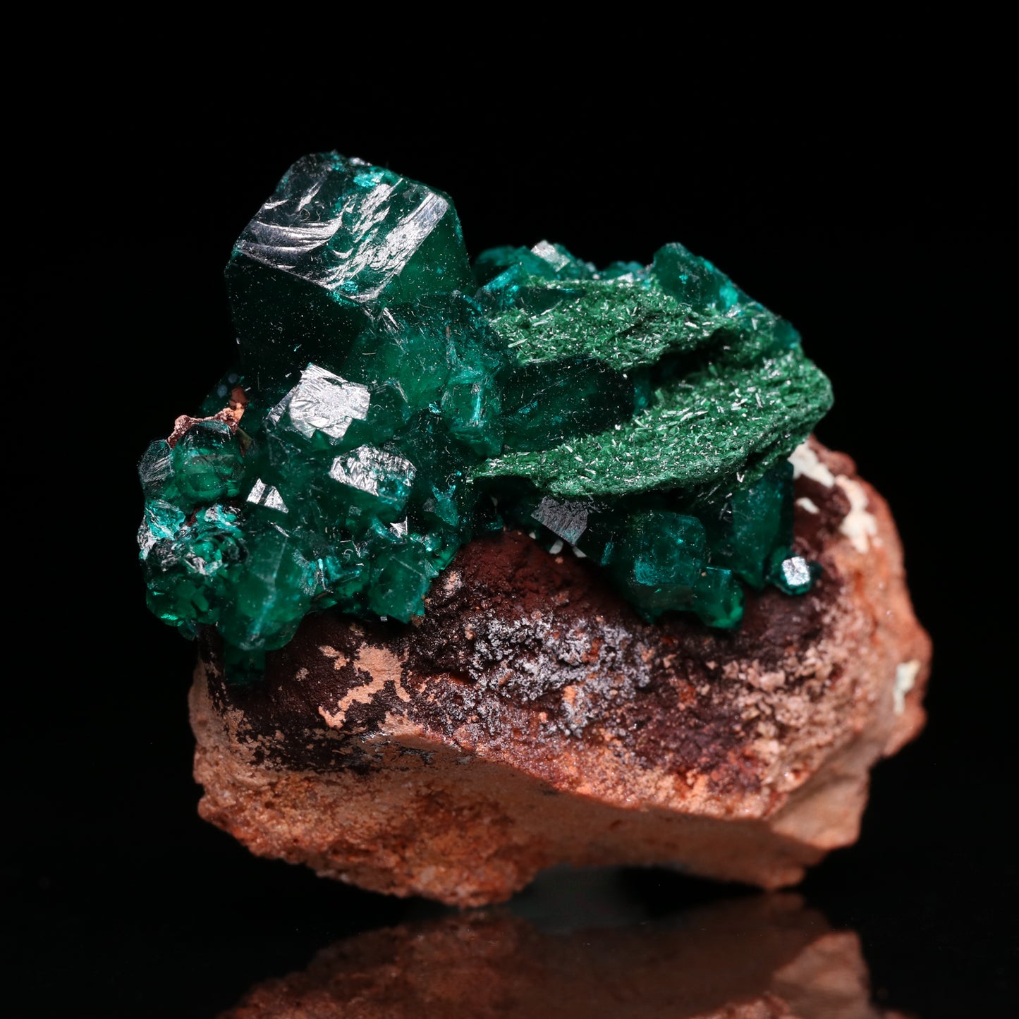 Malachite on Dioptase on Matrix, Mindouli District, Brazzaville, Congo