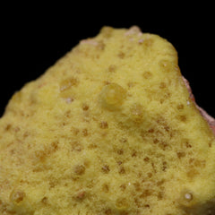 Ettringite on Matrix