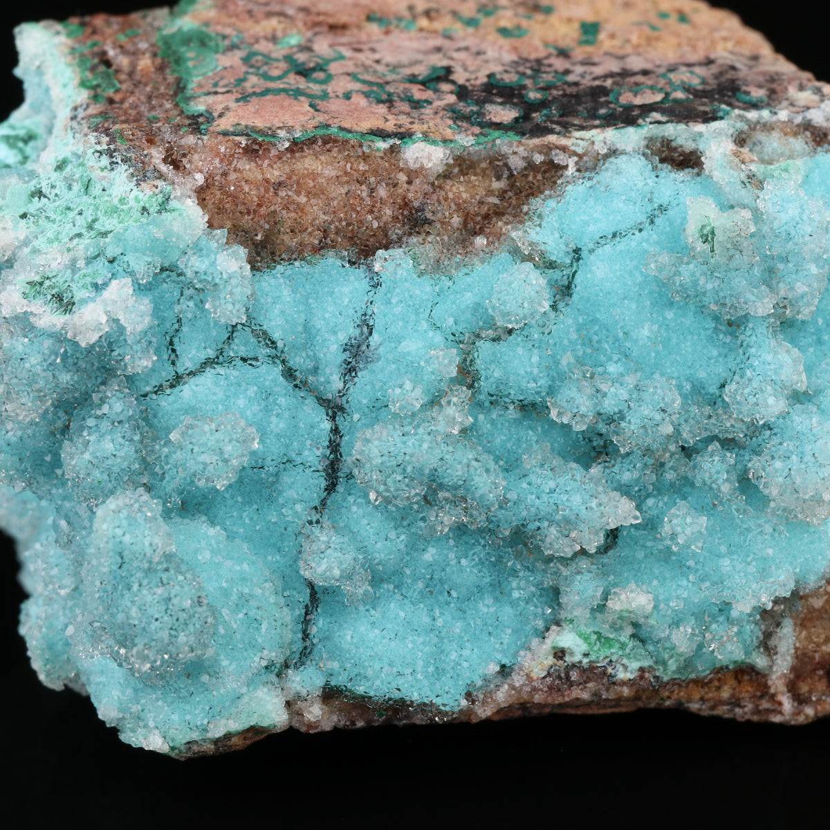 Quartz on Malachite & Chrysocolla psm Azurite