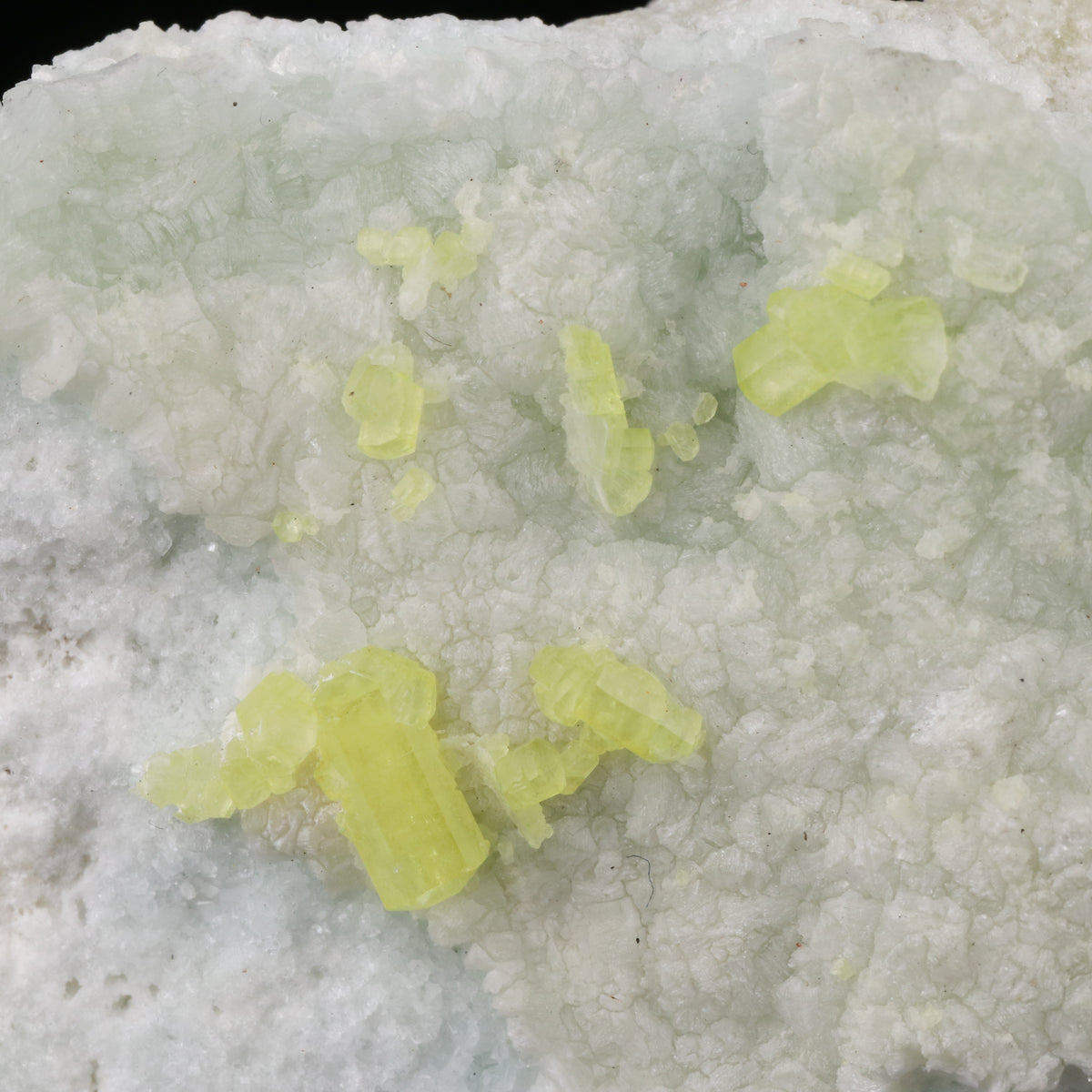 Ettringite on Brucite