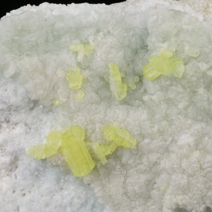 Ettringite on Brucite