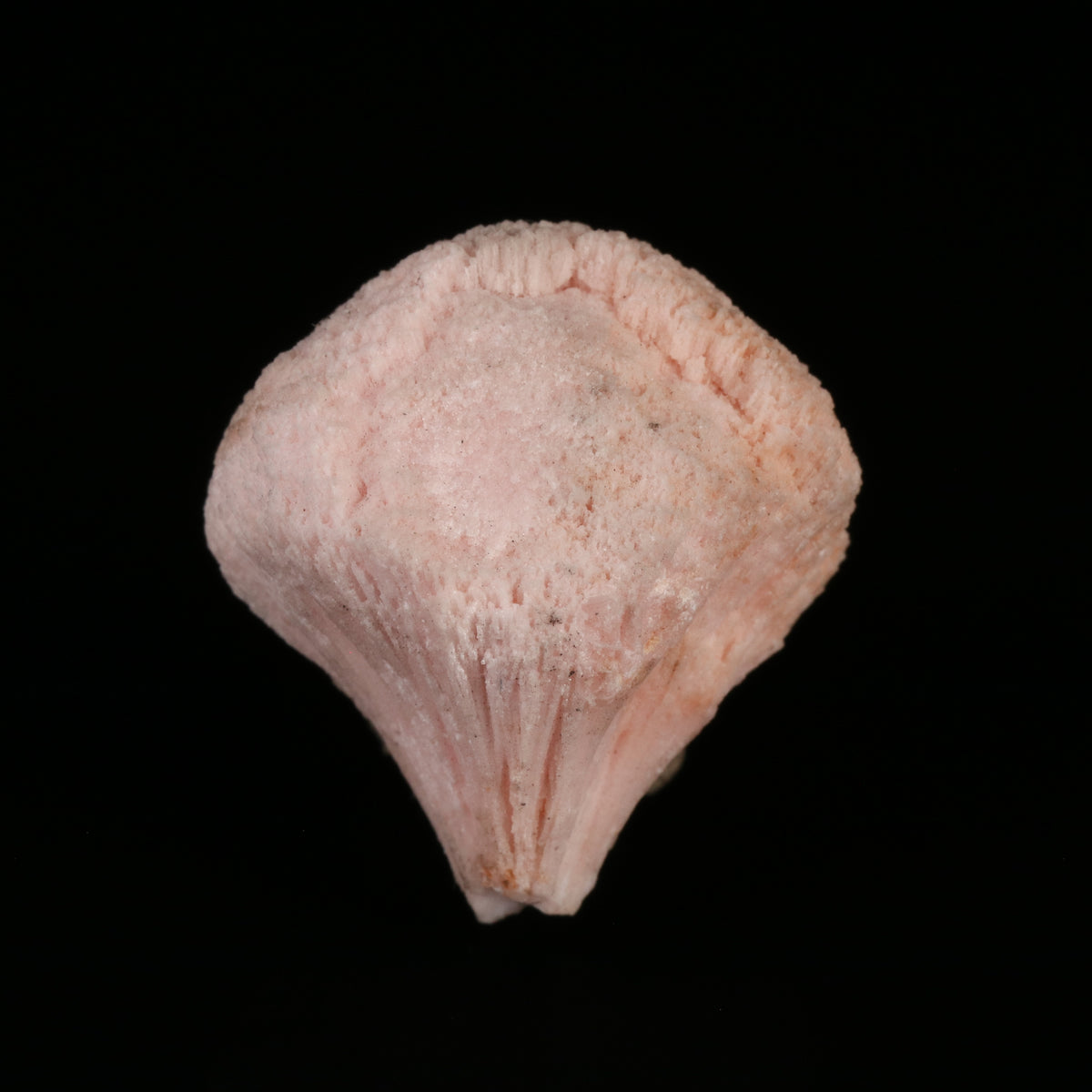 Kutnohorite