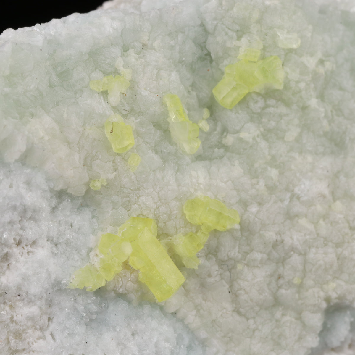 Ettringite on Brucite