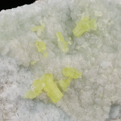Ettringite on Brucite