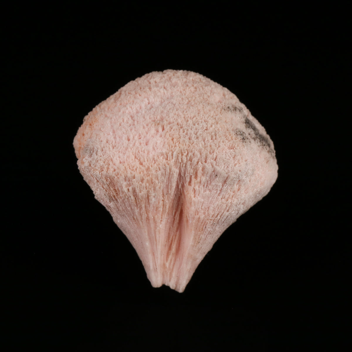 Kutnohorite