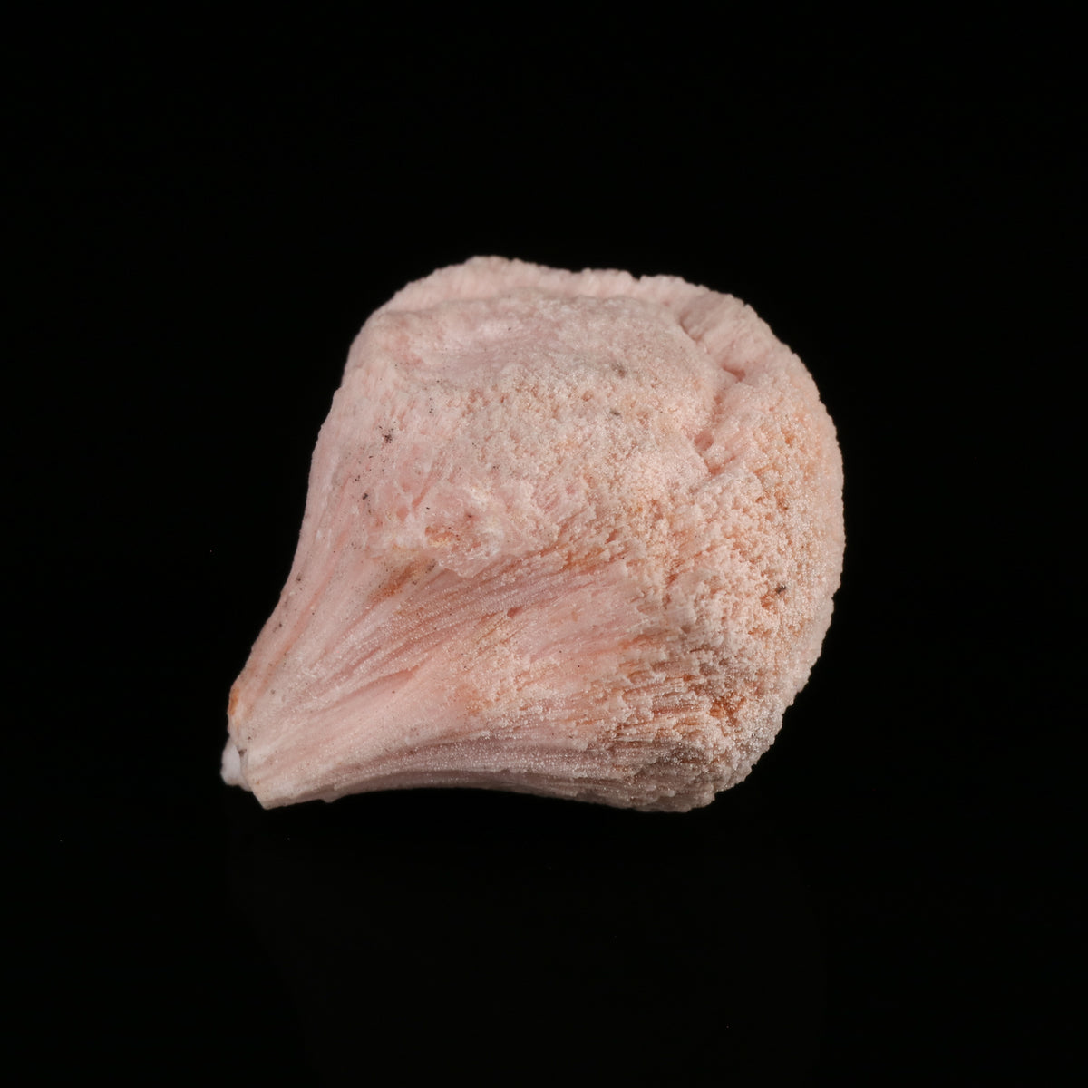 Kutnohorite