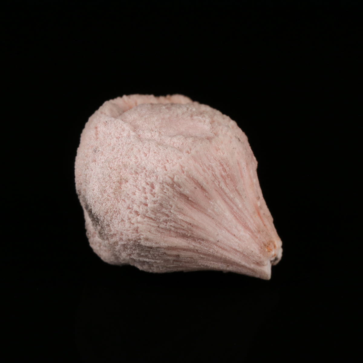 Kutnohorite