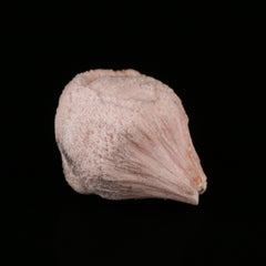 Kutnohorite
