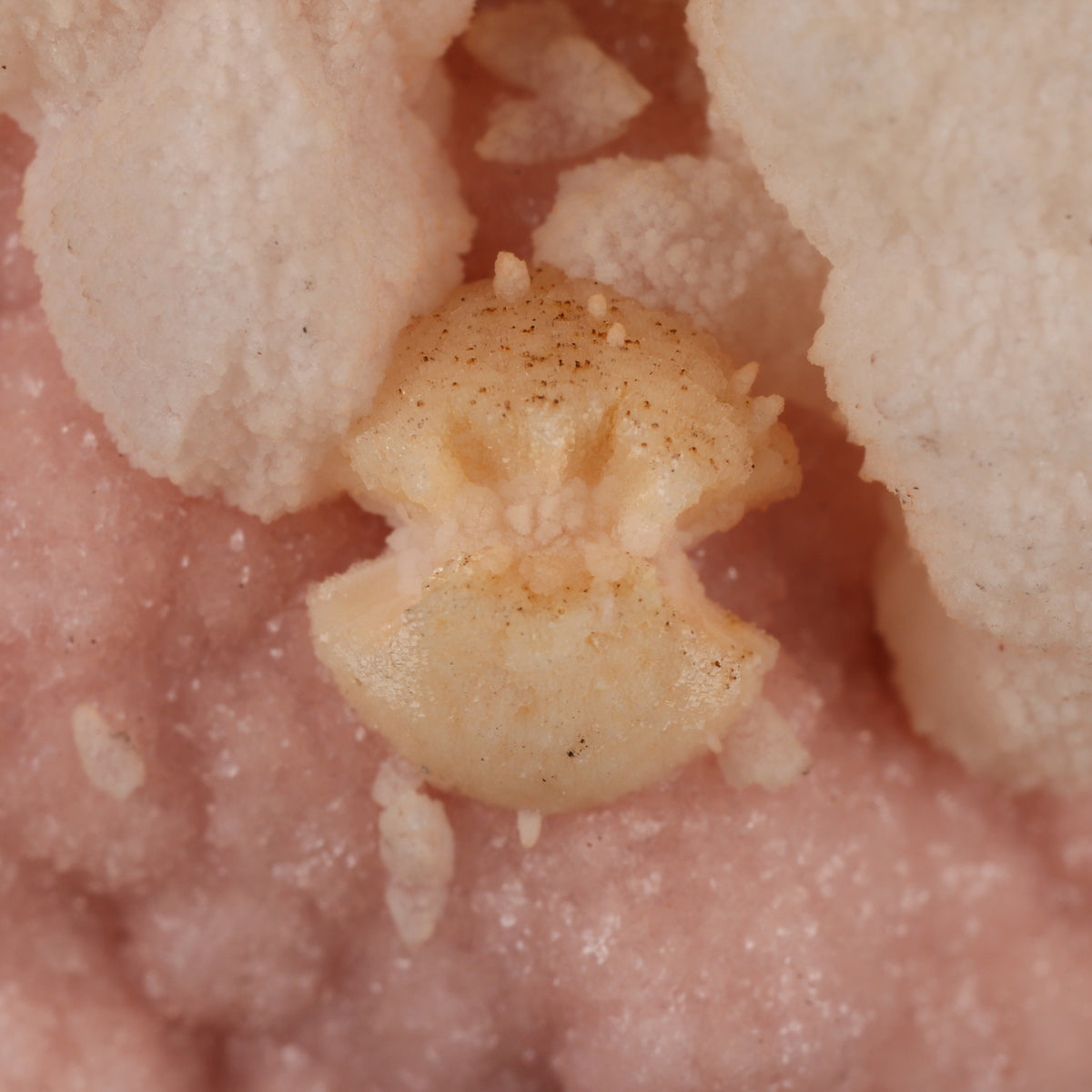 Manganoan Calcite on Rhodochrosite
