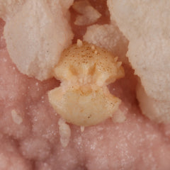 Manganoan Calcite on Rhodochrosite