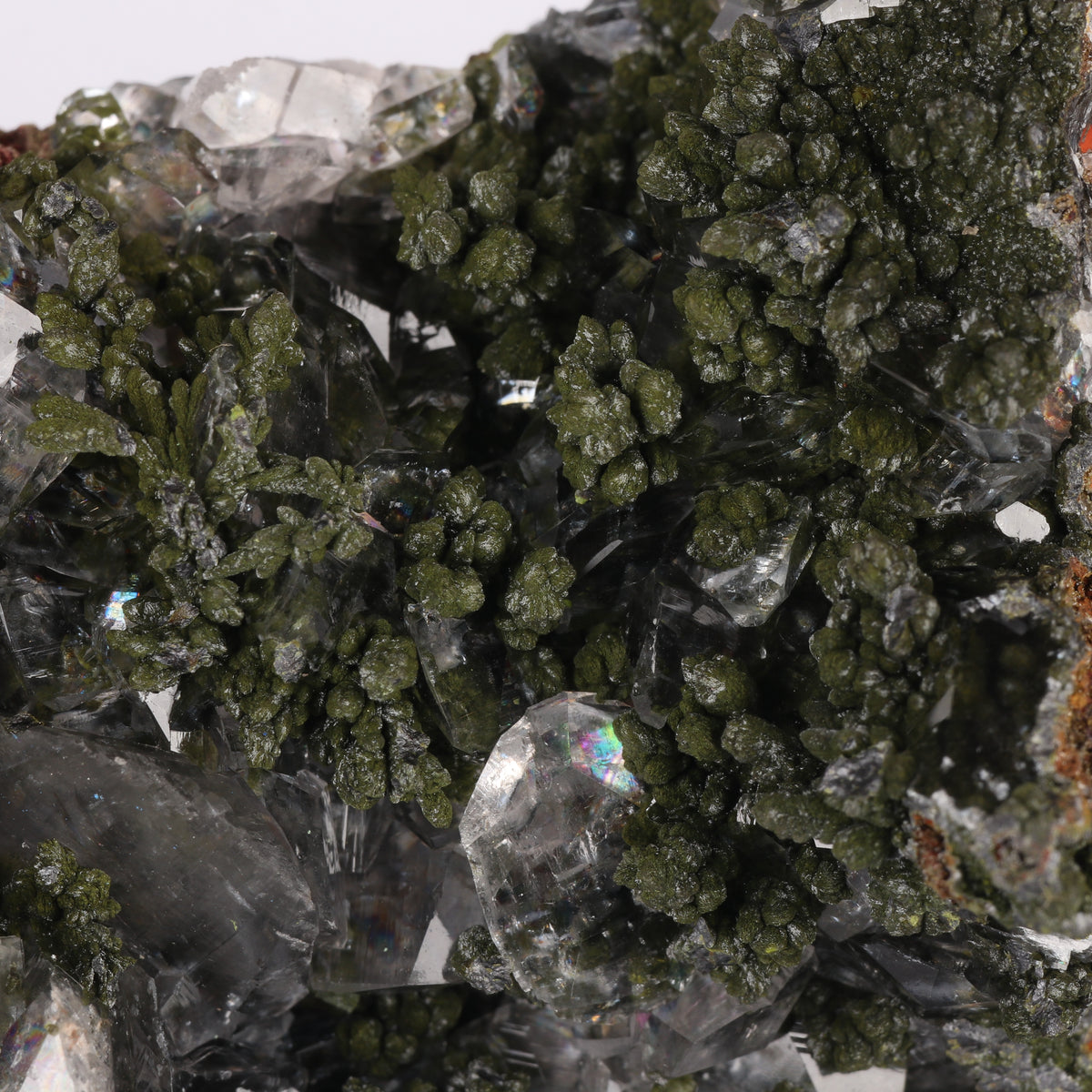 Mottramite In Calcite