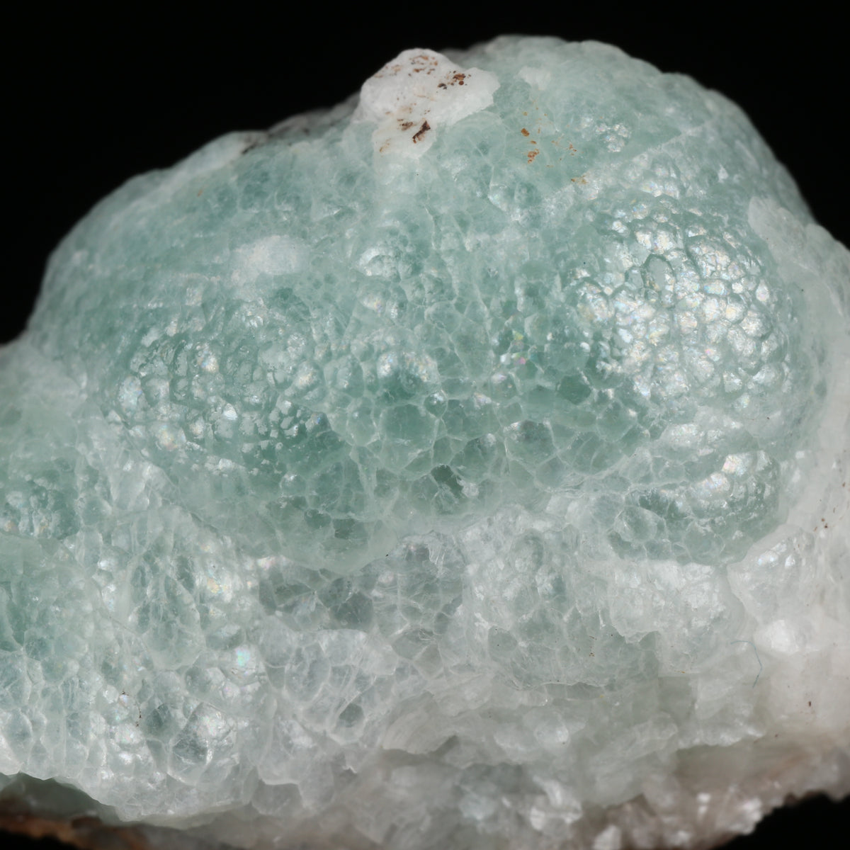 Brucite