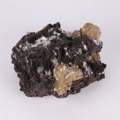 Bultfonteinite & Olmiite