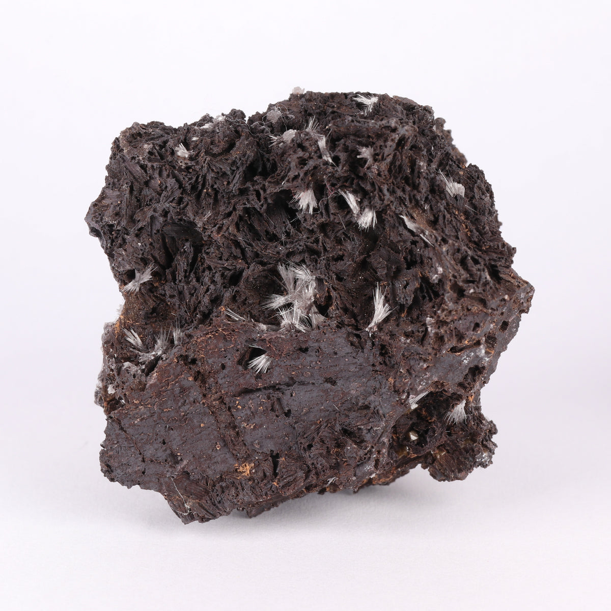 Bultfonteinite & Olmiite