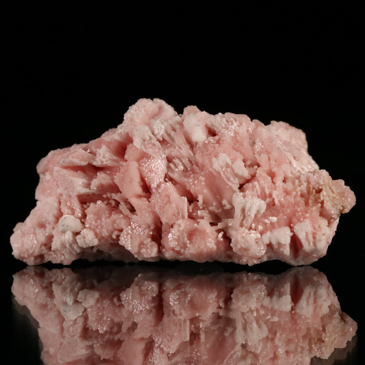 Miniature Kutnohorite on Matrix