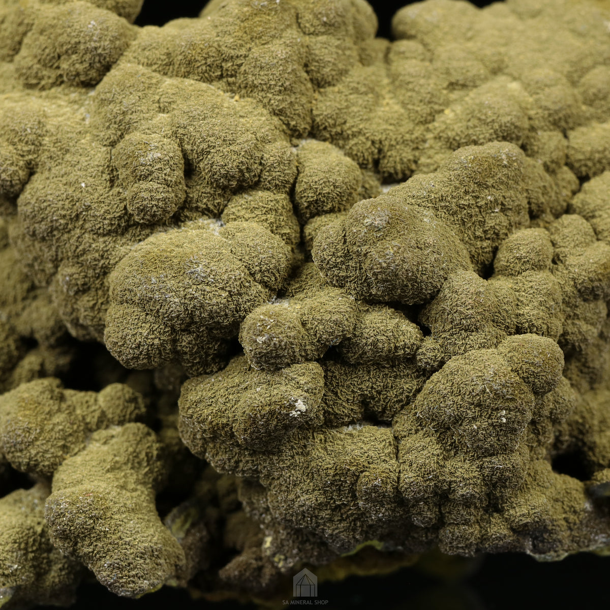 Mottramite Cluster