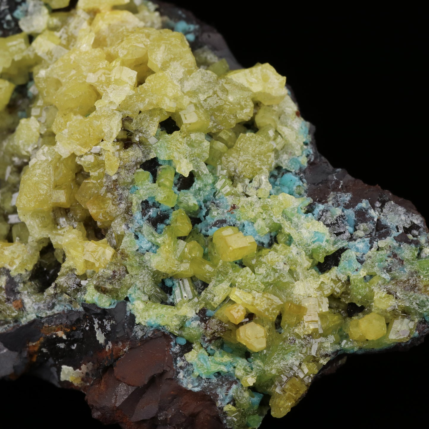 Mimetite on Philipsbornite