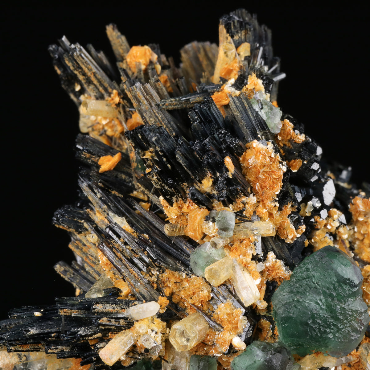 Goshenite & Fluorite on Schorl