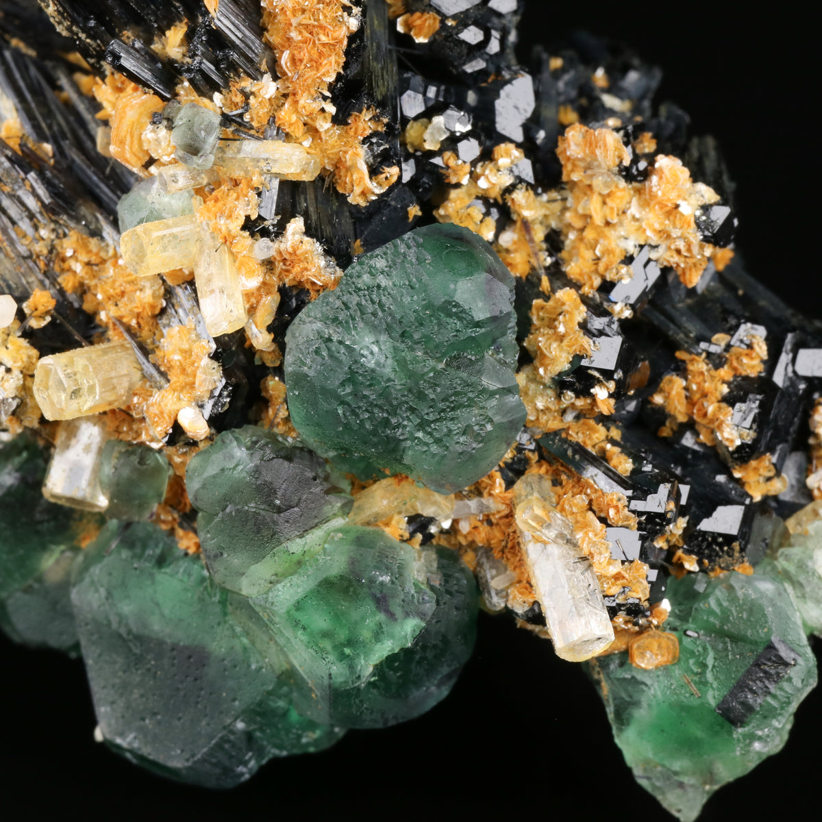 Goshenite & Fluorite on Schorl