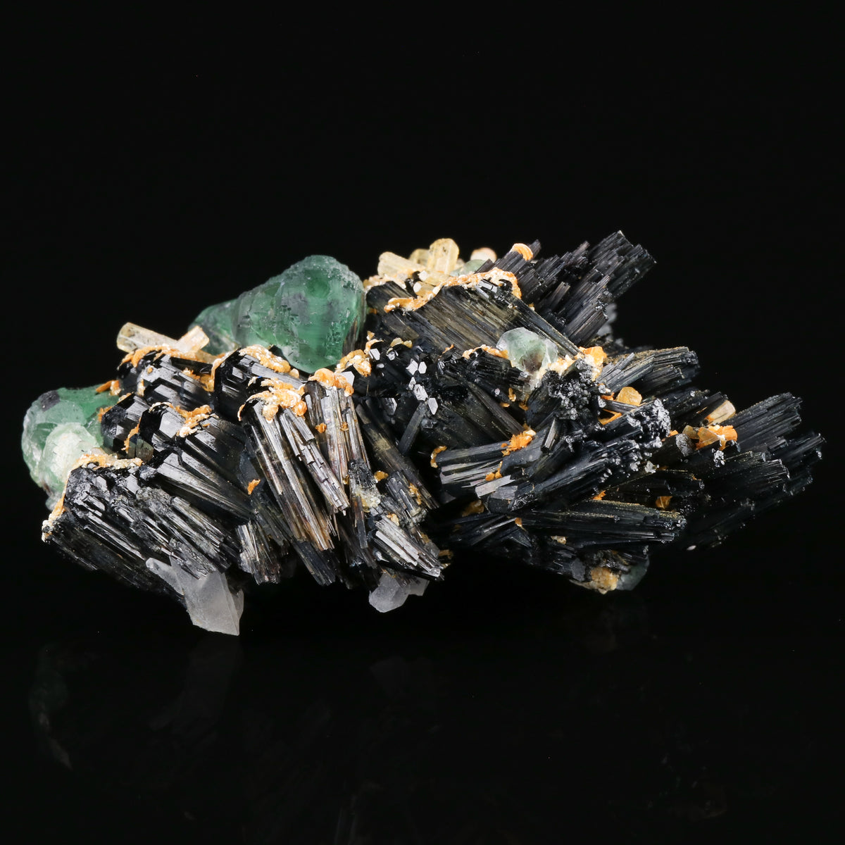 Goshenite & Fluorite on Schorl