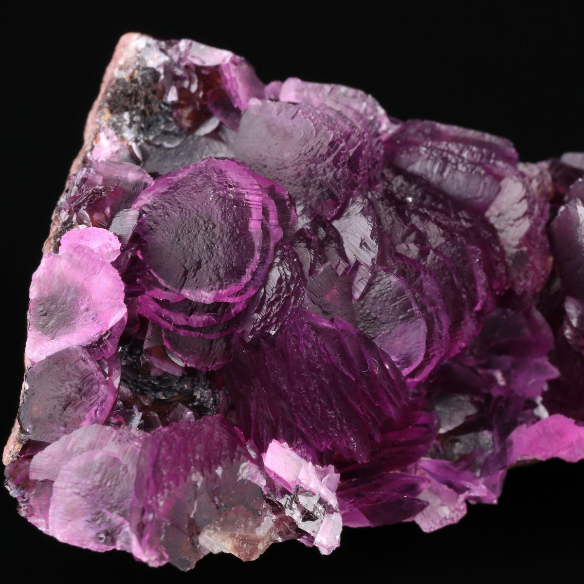 Cobaltoan Calcite