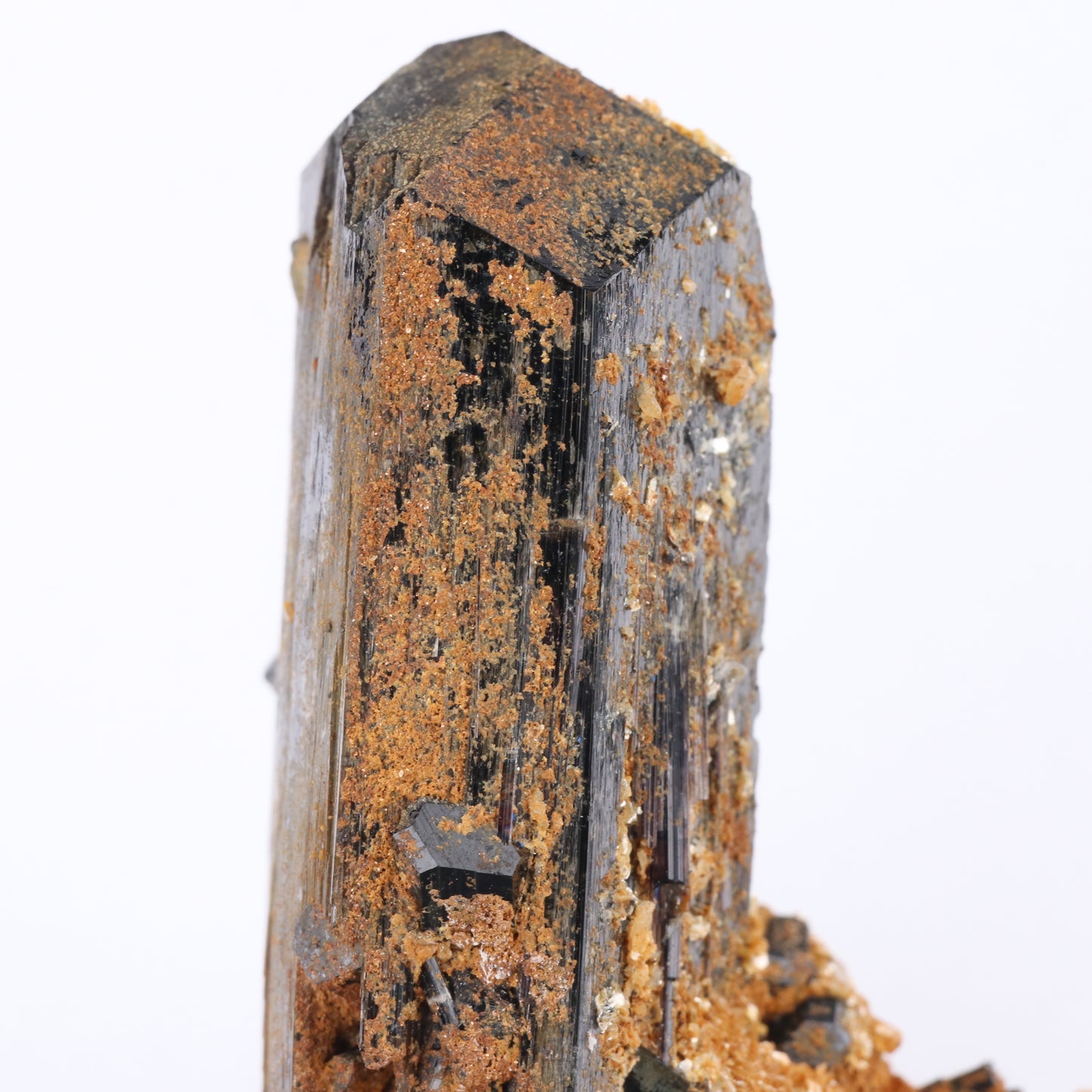 Muscovite & Goshenite on Foitite