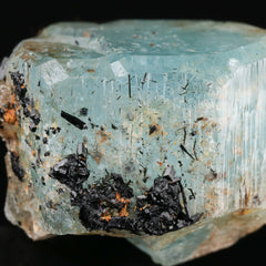 Schorl on Aquamarine