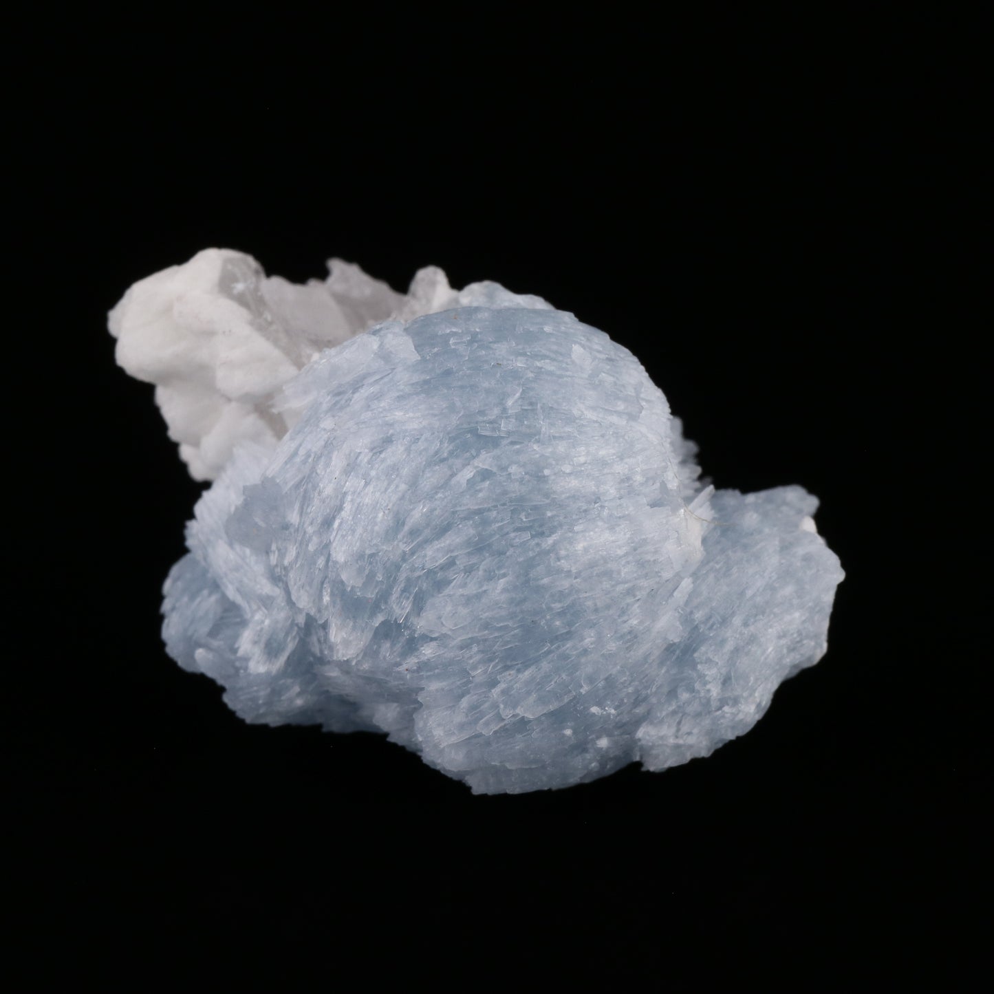 Celestine — photo 1