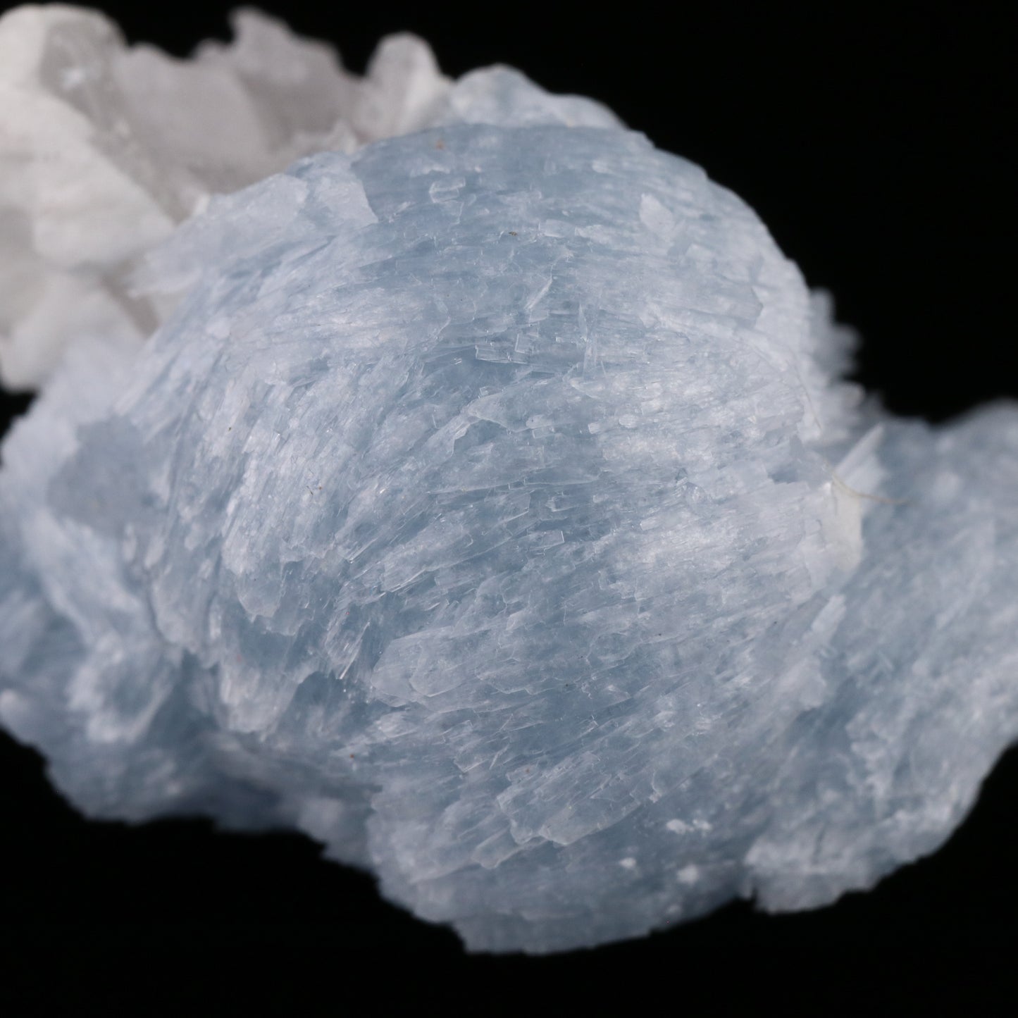 Celestine — photo 2