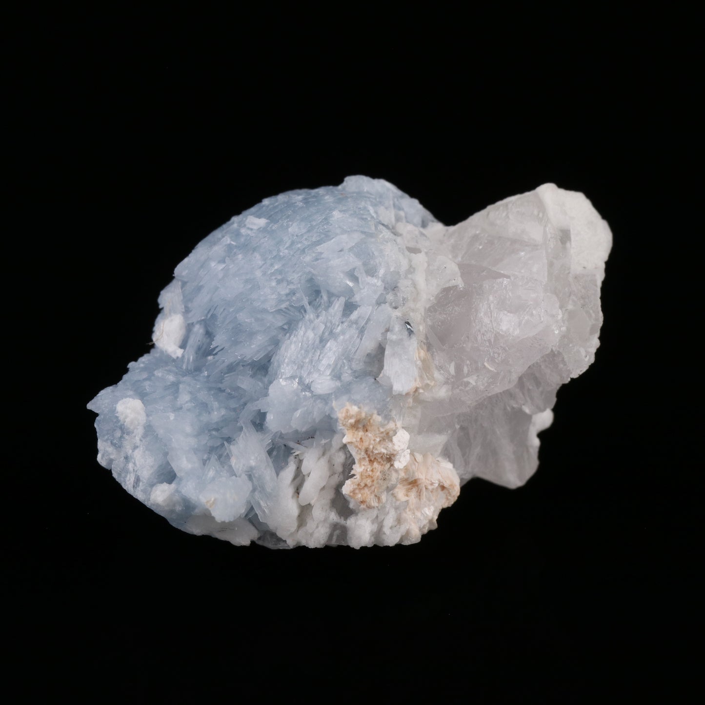 Celestine — photo 3