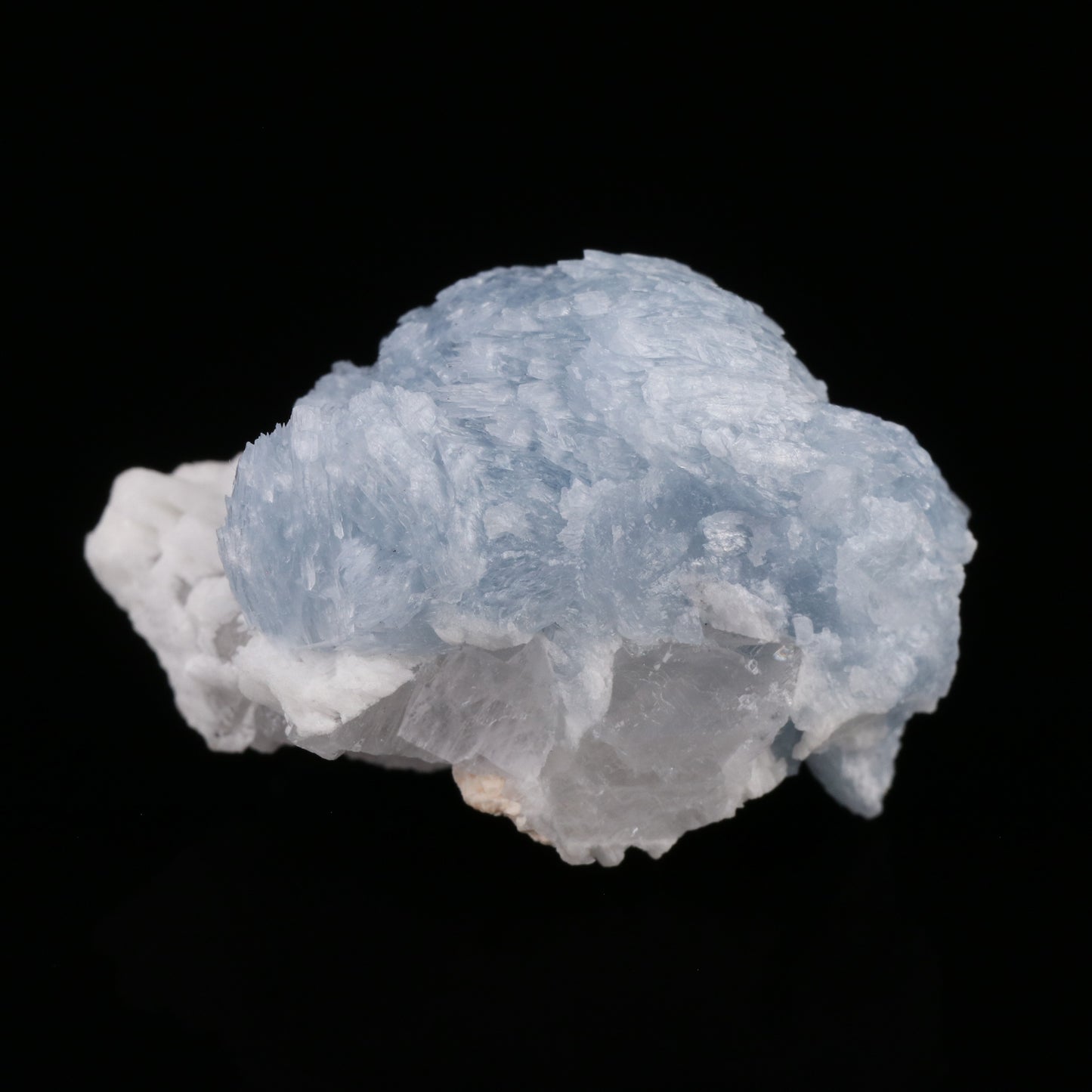 Celestine — photo 4