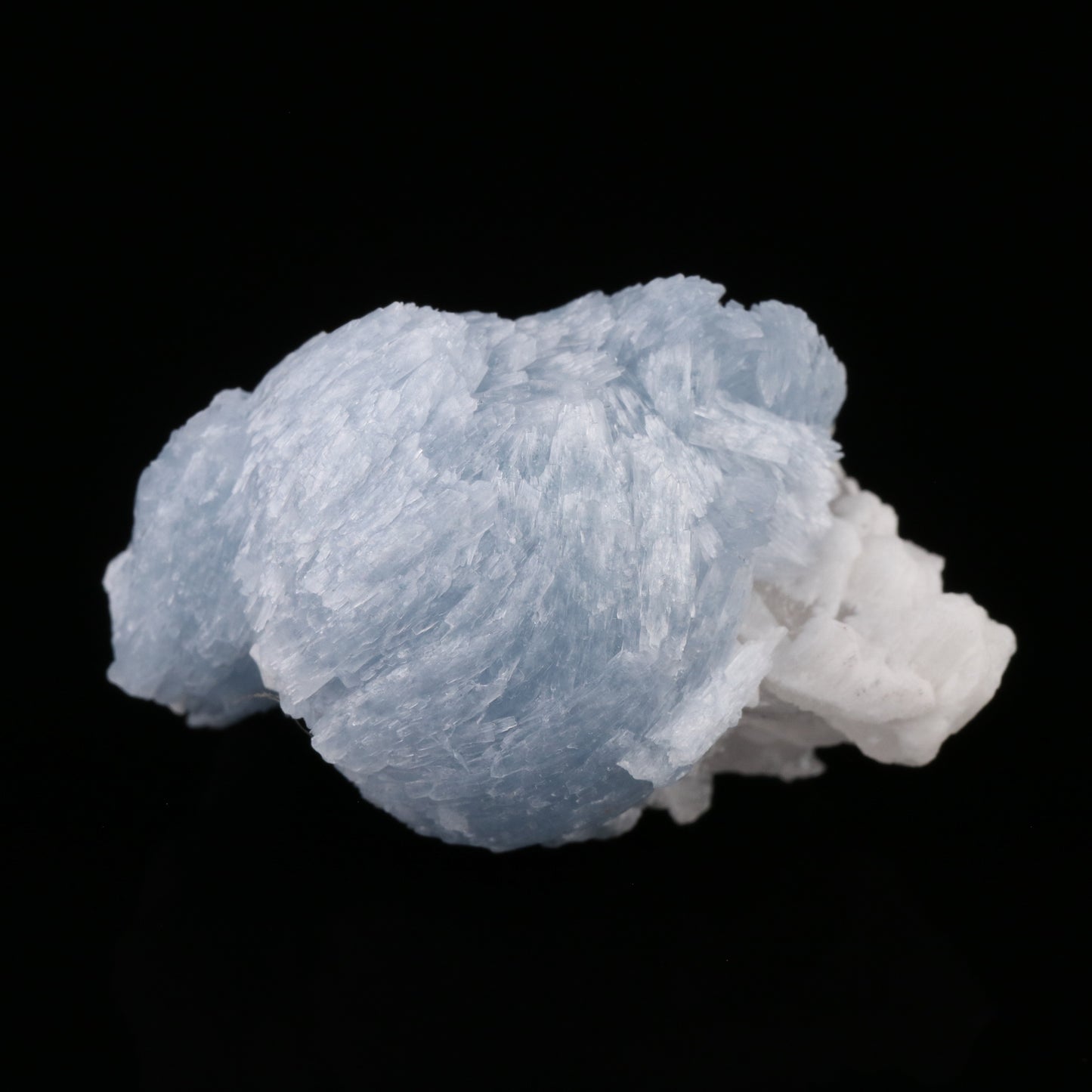 Celestine — photo 5