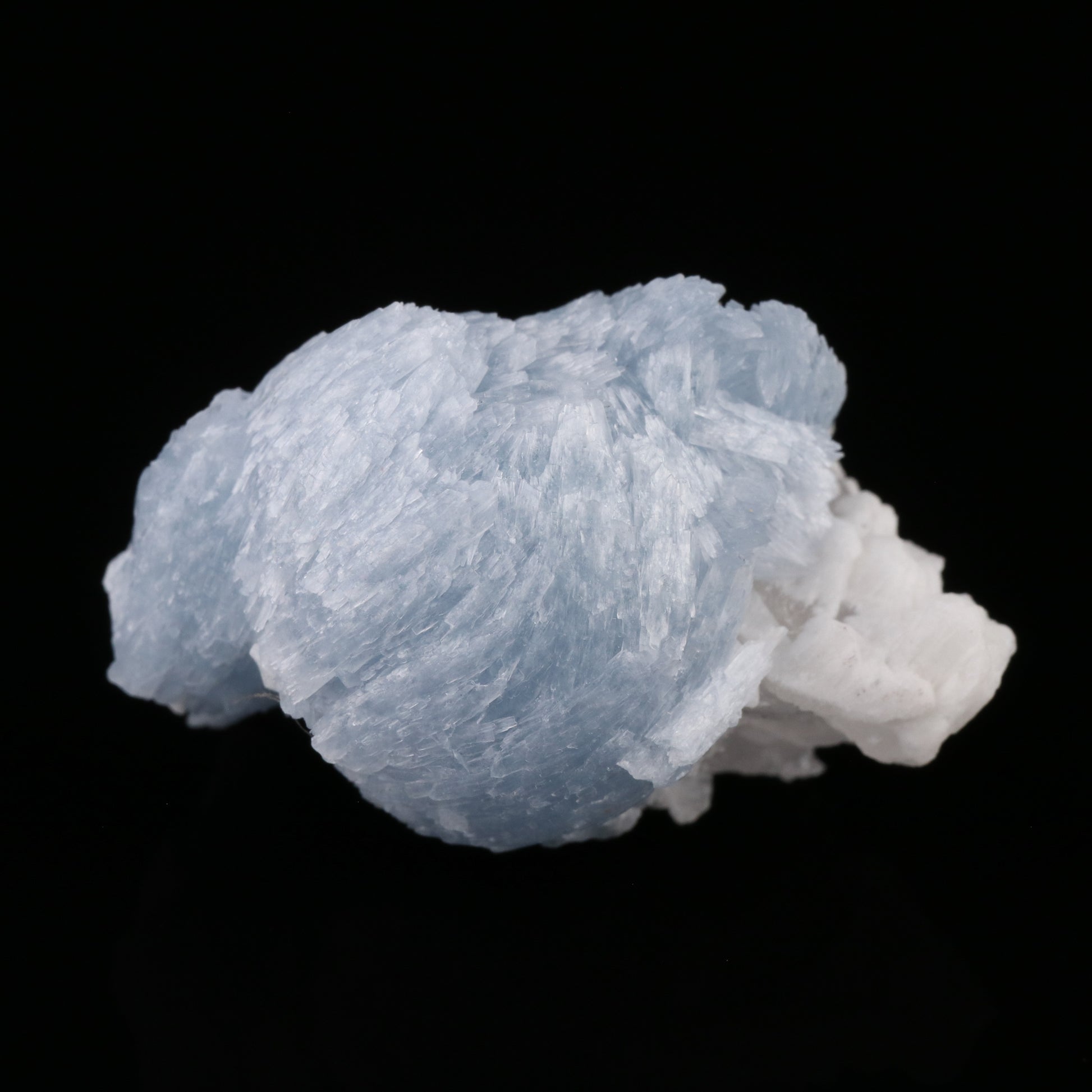 Celestine — photo 5