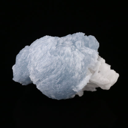 Celestine — photo 5