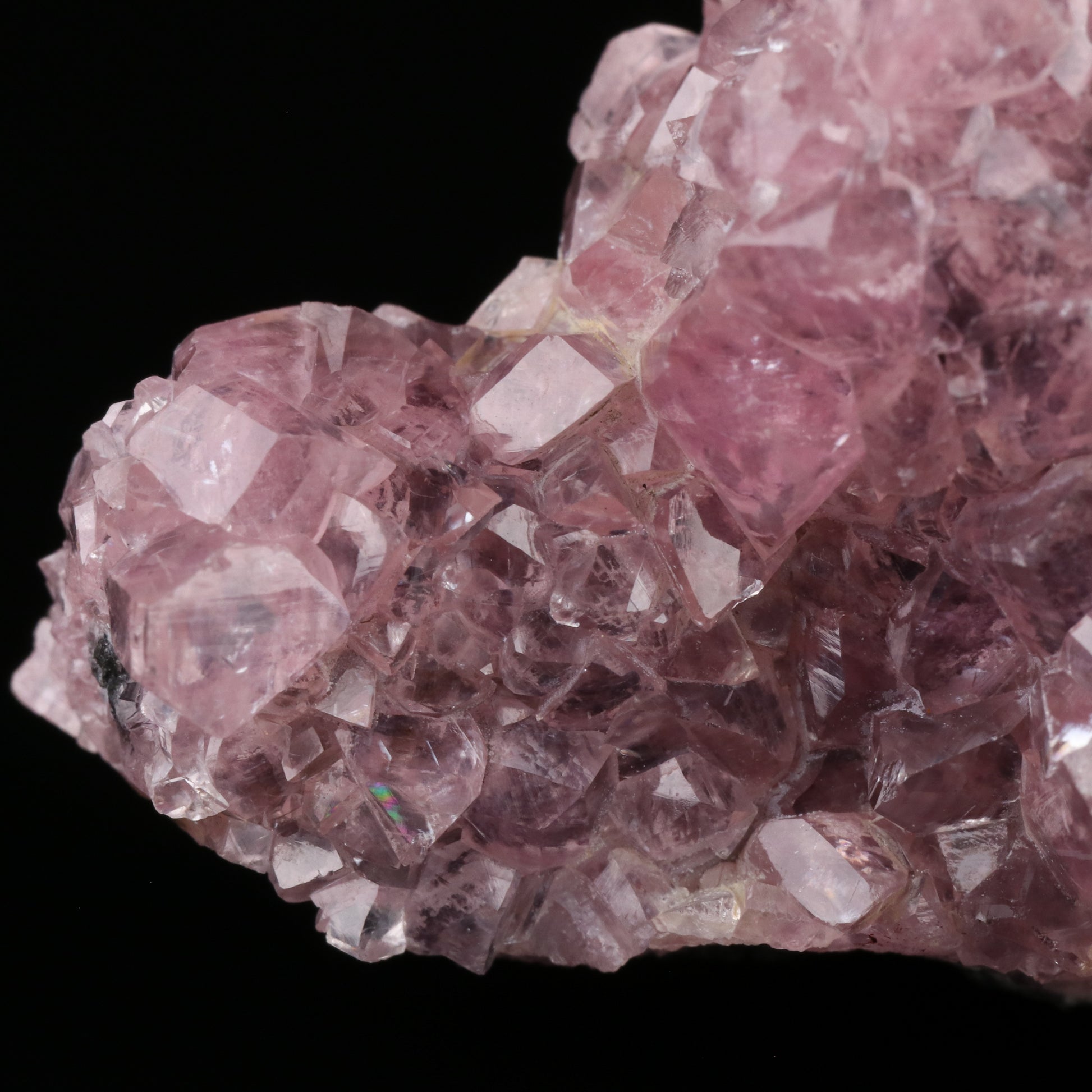 Cobaltoan Smithsonite — photo 3