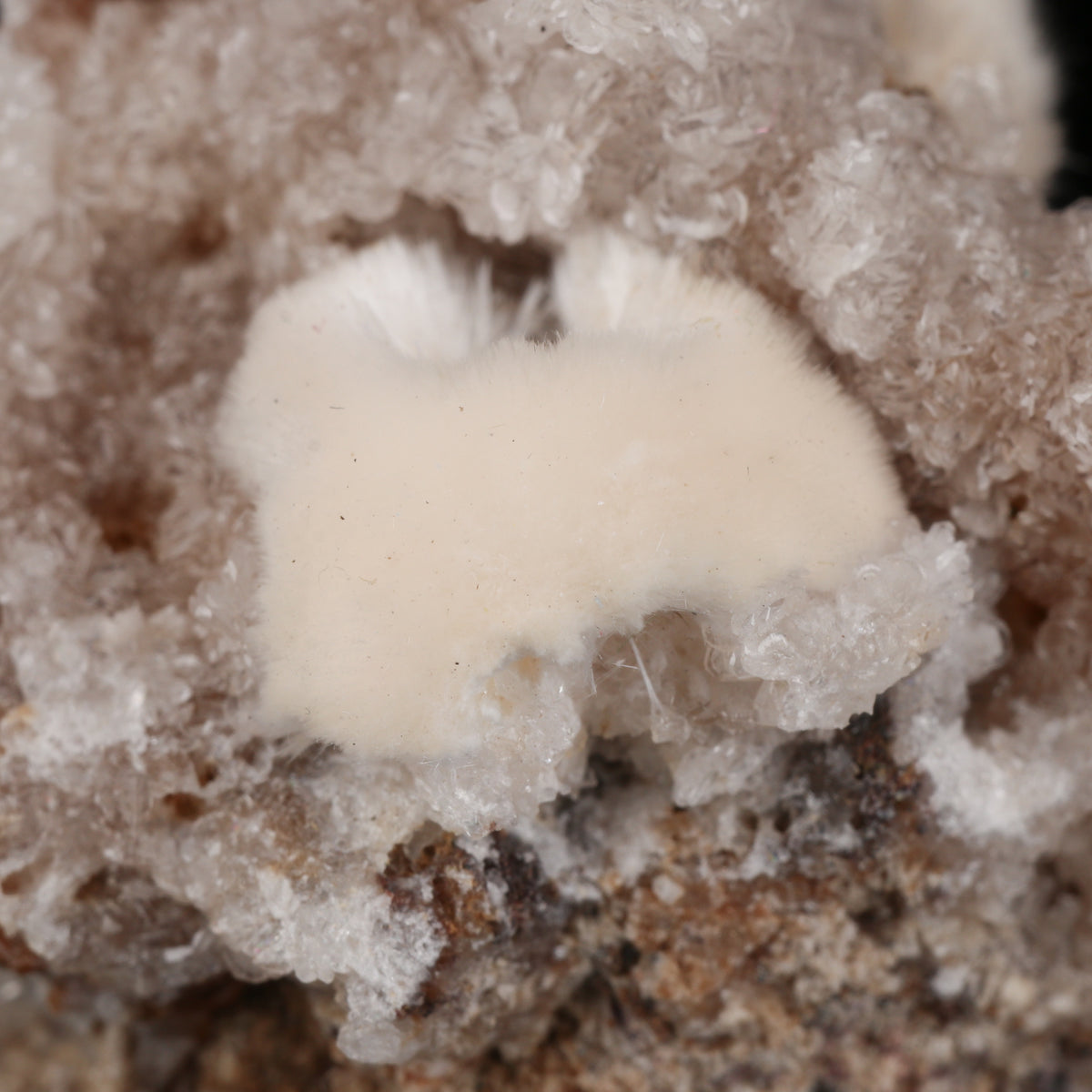 Xonotlite on Datolite