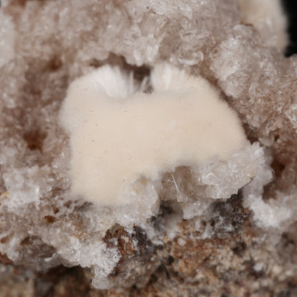 Xonotlite on Datolite