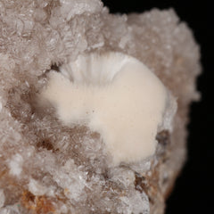 Xonotlite on Datolite