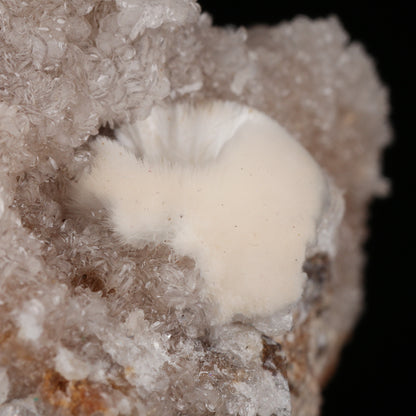 Xonotlite on Datolite