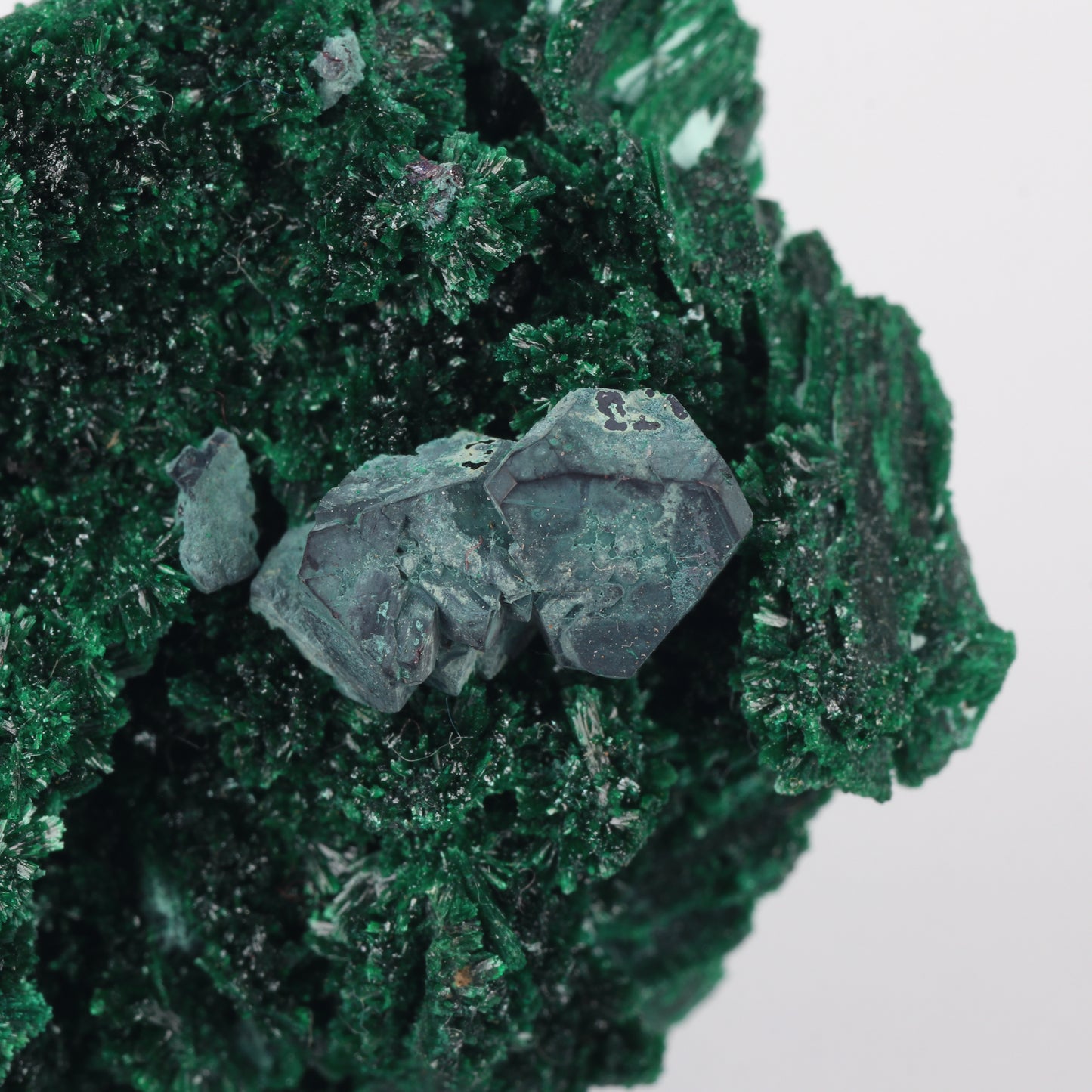 Cuprite on Malachite