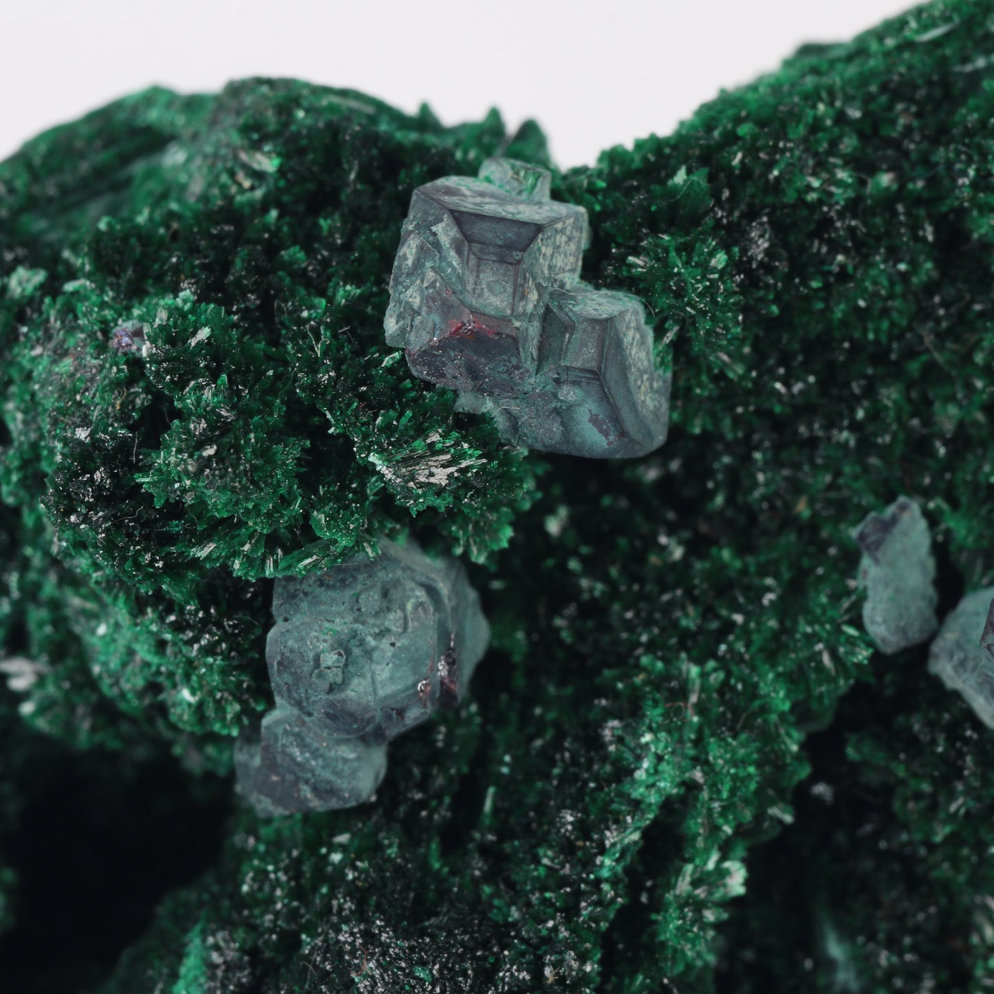 Cuprite on Malachite