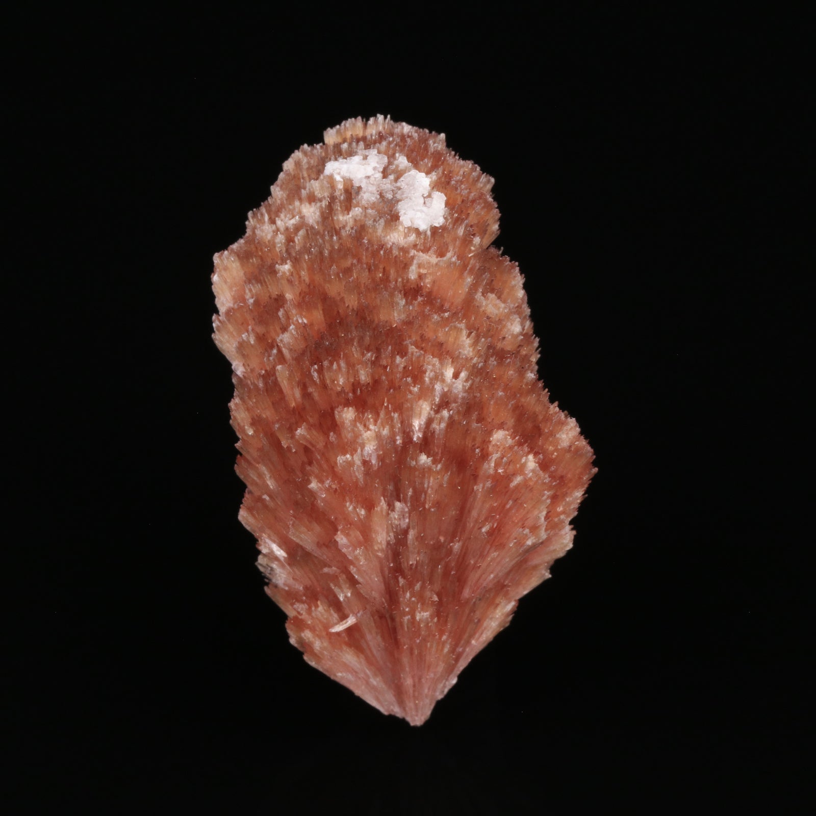 Inesite - photo 1