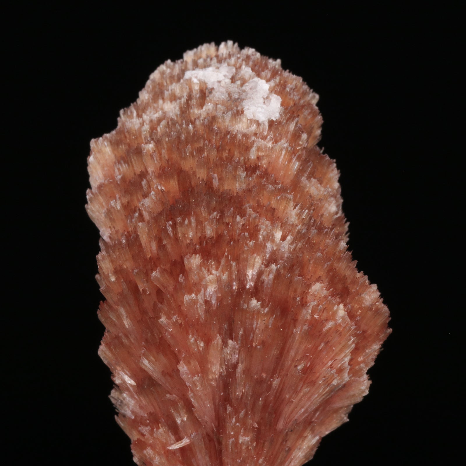 Inesite - photo 2