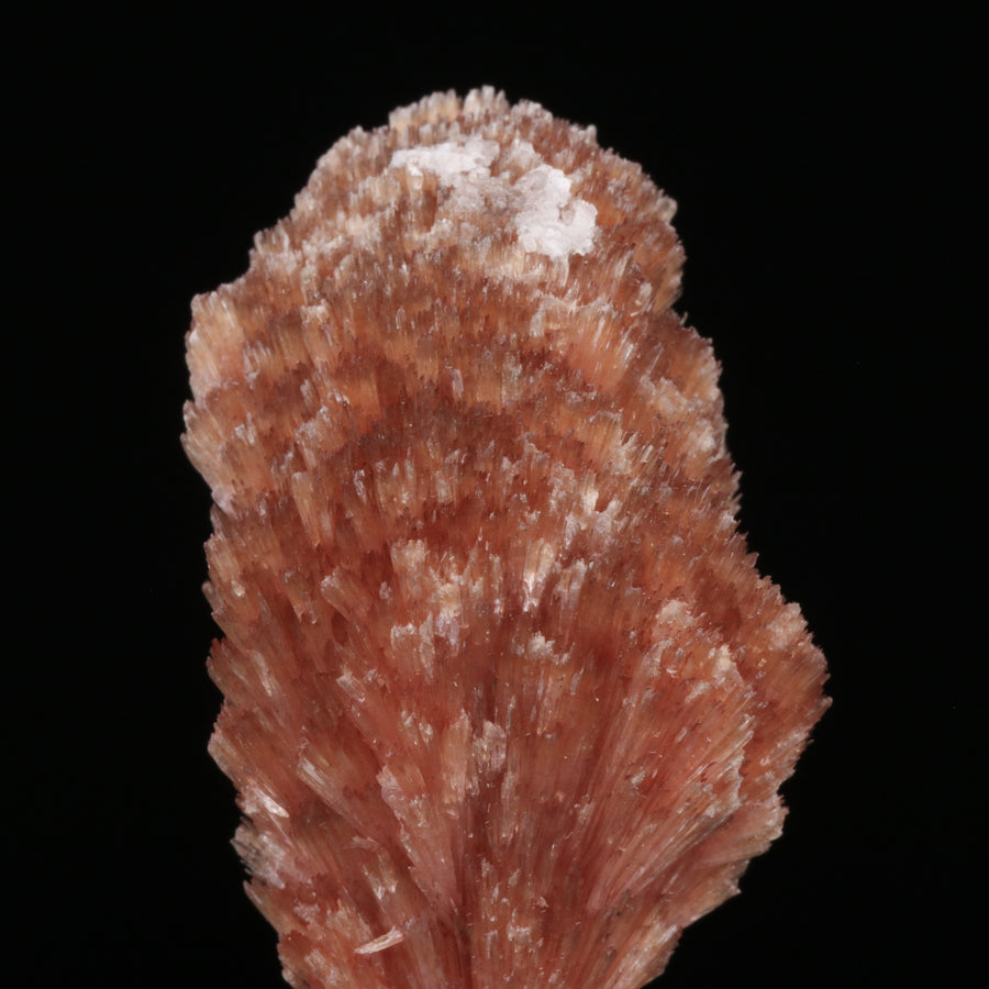 Inesite - photo 2