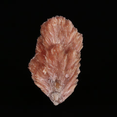 Inesite - photo 3
