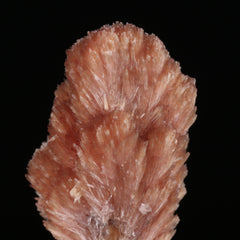 Inesite - photo 4