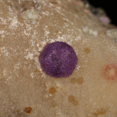 Fluorite on Quartz